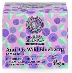 Blueberry арьс арчилгааны сет