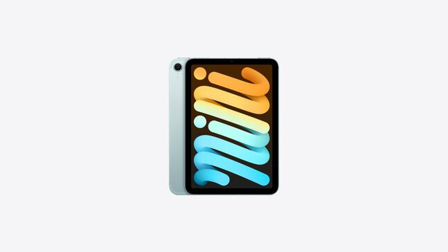 Ipad mini 7