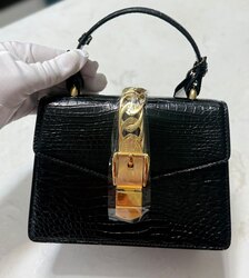 Silviye mini