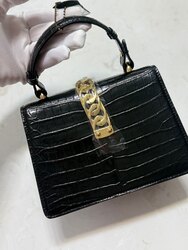 Silviye mini