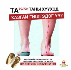 Яс тэгшлэгч улавч 