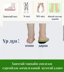 Эрүүл мэндийн нумтай улавч 