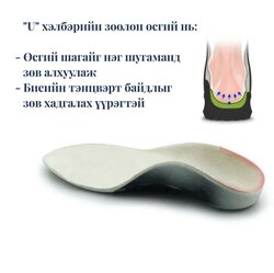 Эрүүл мэндийн нумтай улавч