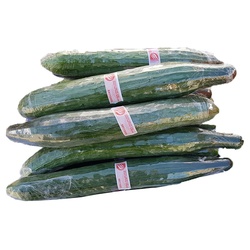 ӨРГӨСТ ХЭМХ ДЭВШИЛ КГ