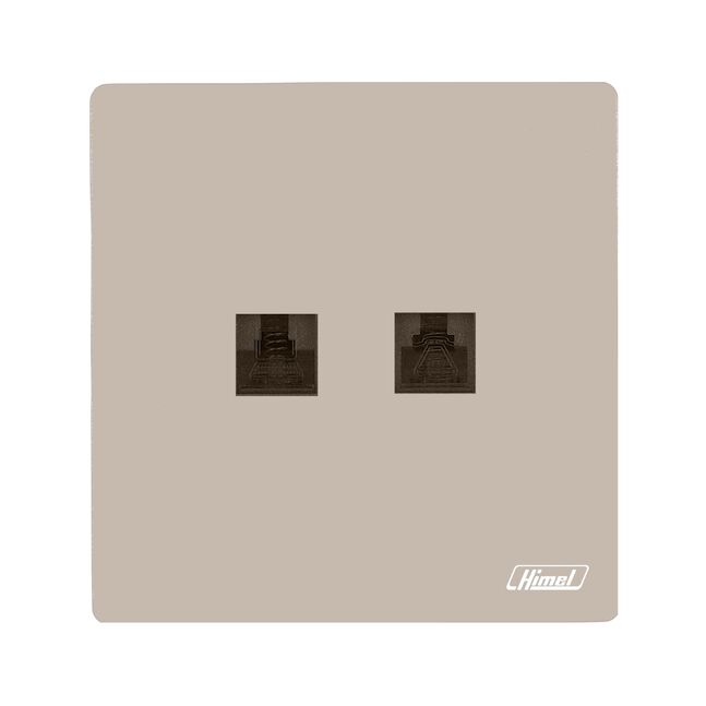 2 Gang Telephone & Cat 6 Data Socket