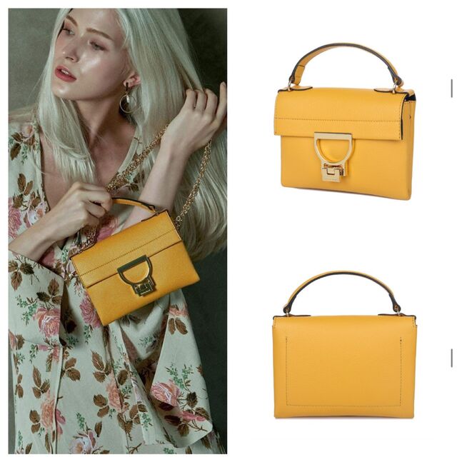 Coccinelle