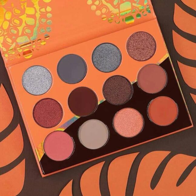 Juvia's place palette 