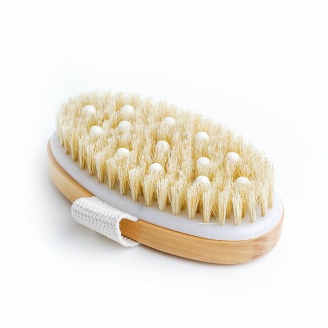 Dry brush / Хуурай сойз

