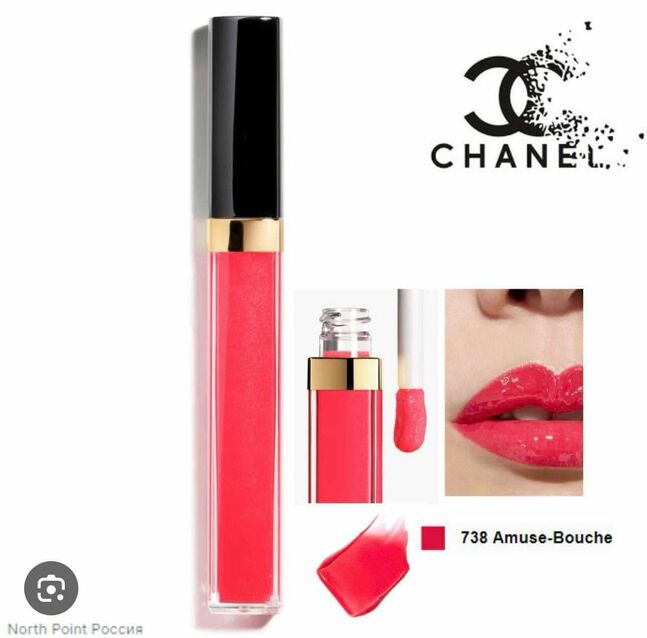 Chanel rouge gloss 738