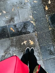 Zara тугалын арьсан кет