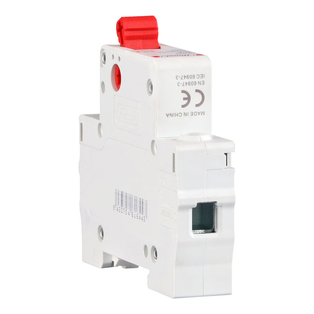Switch disconnector HDG3 - 2P - 63 A