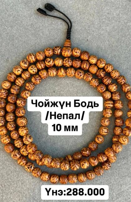Чойжүнбодь эрхи