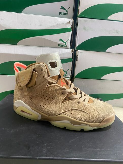 Jordan 6 cactus