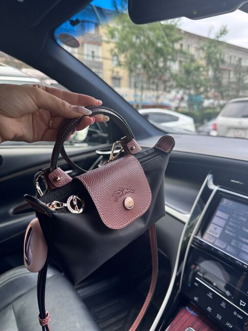 Longchamp mini