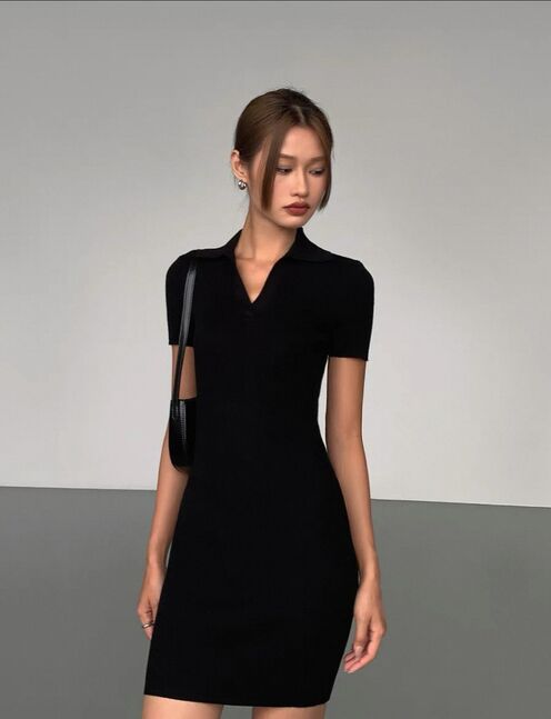 Polo dress