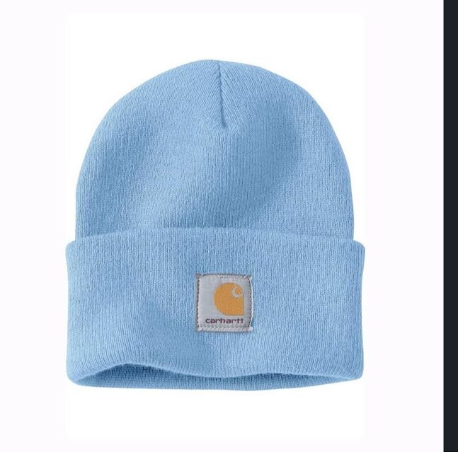 Carhartt beanie