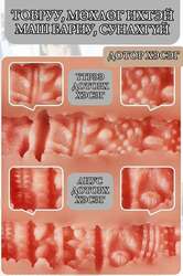  биетэй том үтрээ