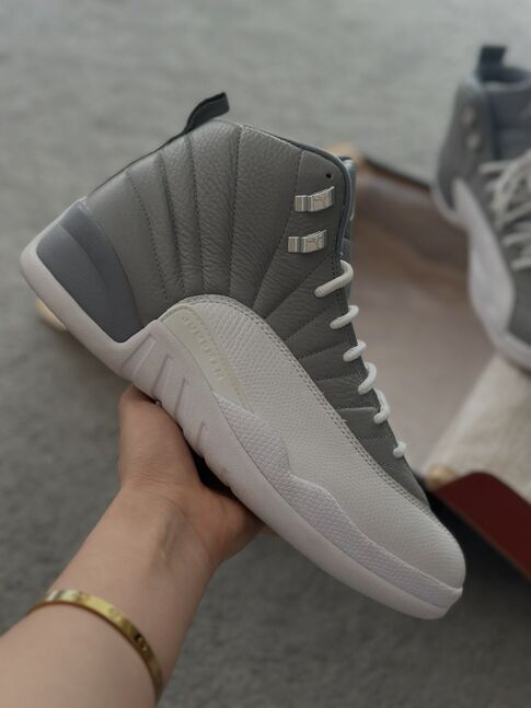 Jordan 12 stealth 