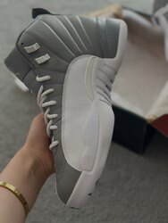 Jordan 12 stealth 