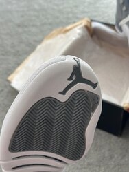 Jordan 12 stealth 