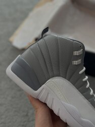 Jordan 12 stealth 