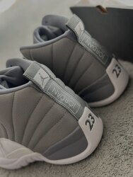 Jordan 12 stealth 