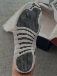 Jordan 12 stealth 
