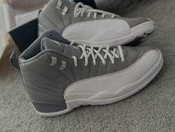 Jordan 12 stealth 