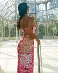 Zara dress