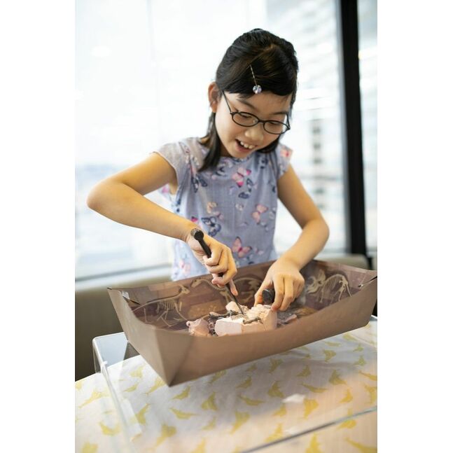 03237 4M KL Dig a Dino Skeleton/Brachiosaurus