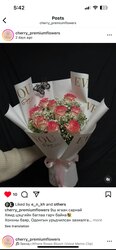#13 сонголт олон