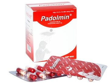 Падолмин шахм 325мг+ 4мг №10