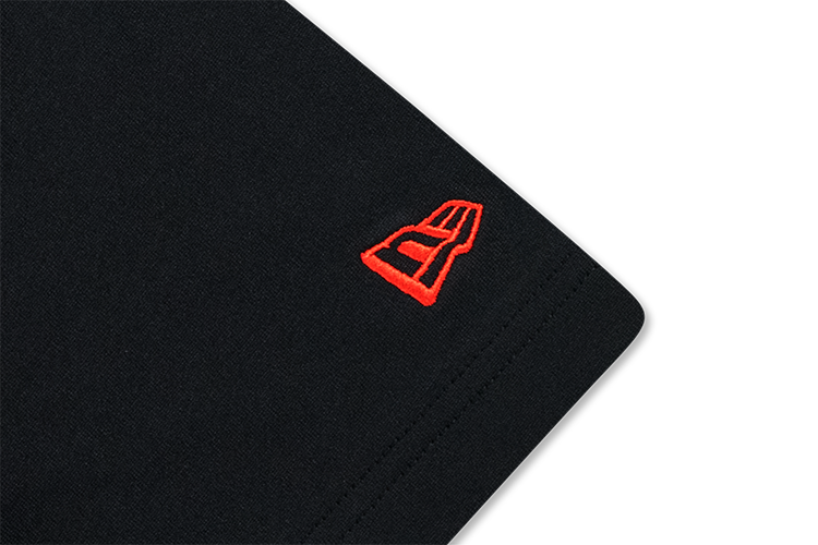 SS TEE NE FLAG FLAME BLACK