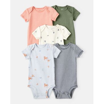 Боди хөвгүүд судалтай кобой 