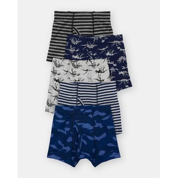 Трусык хөвгүүд хөх саарал дино 