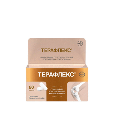 Терафлекс №60