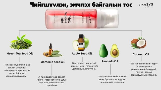 Арьс татах мист 