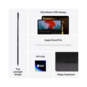 iPad Pro M4 chip 13'' Wifi 256GB Space Black