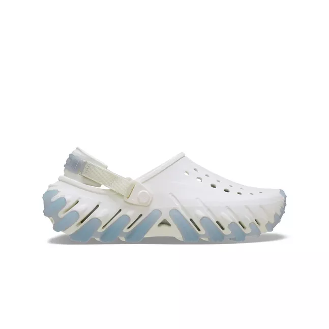Echo Icey RO Clog Chk