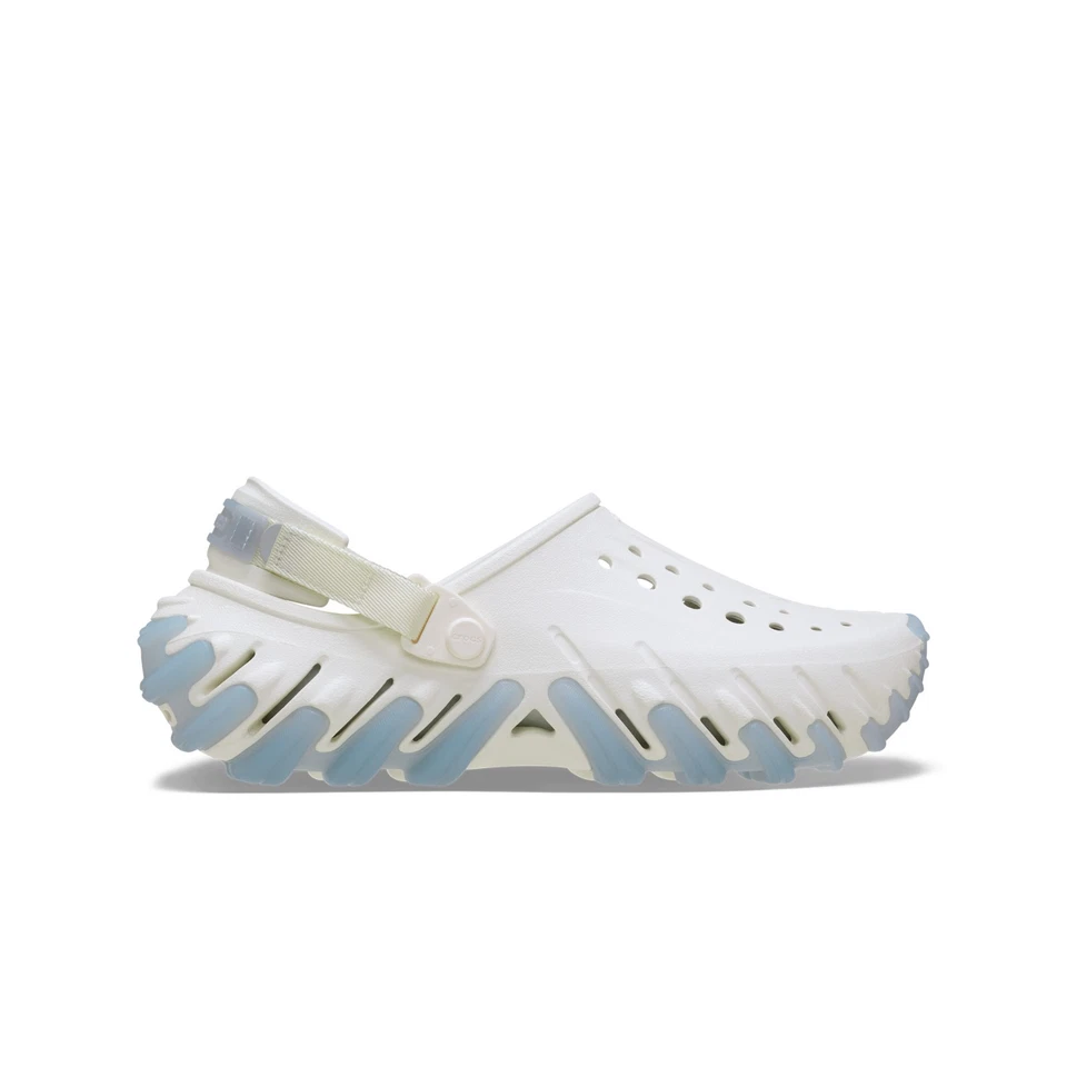 Echo Icey RO Clog Chk