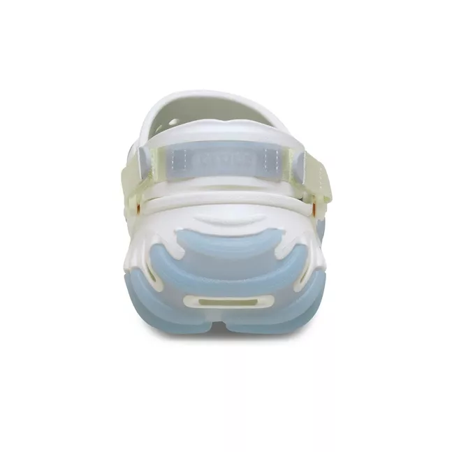 Echo Icey RO Clog Chk