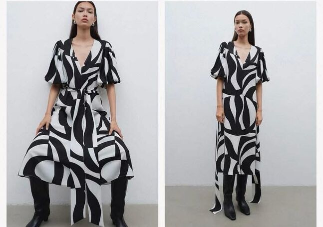 Zebra print dress