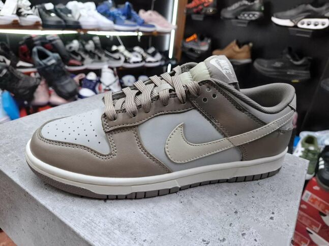Jordan 1 low dunk