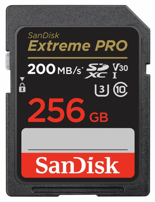 256gb sd card + rent service