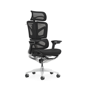 ERGOVO  A-A-L ergonomic mesh office chairs 