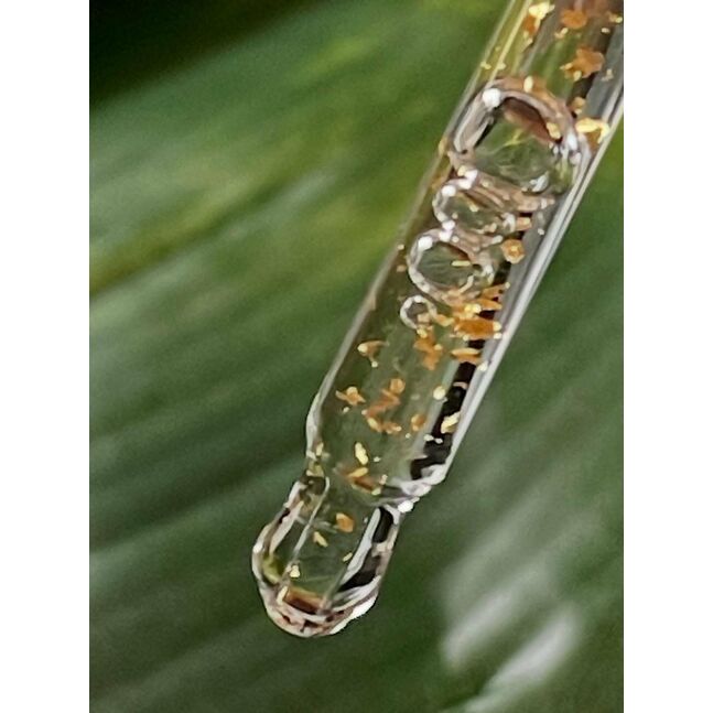 GINSENG GOLD SILK FACIAL AMPOULE