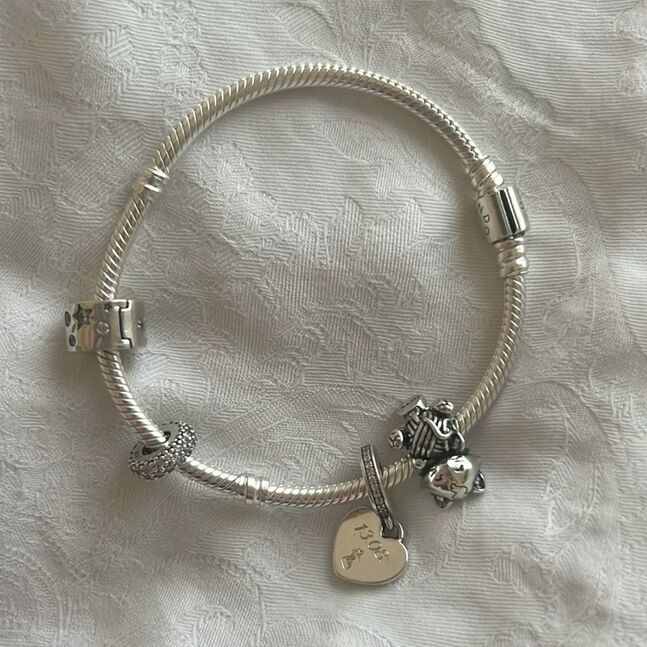 Pandora бугуйвч 4 төрлийн charm