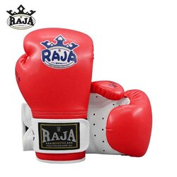 Rajaboxing beelii