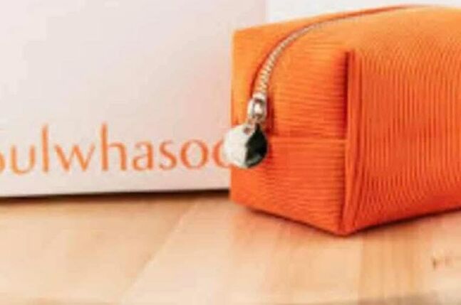 Sulwhasoo брэндийн pouch