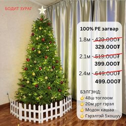 100%pe гацуур мод